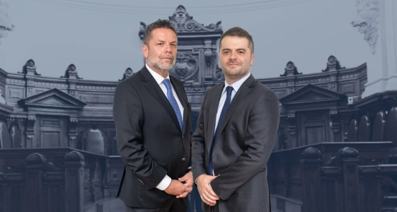 LITIGACIÓN EN RECURSOS PENALES